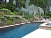Pebble Fina, Sapphire Galaxy, Virginia Pool