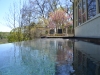 Vanishing Edge Pool