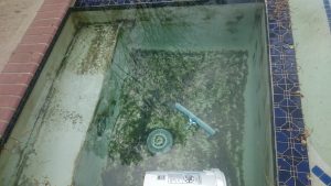 Is it time for a swimming pool renovation? - Is it time for a swimming pool renovation?