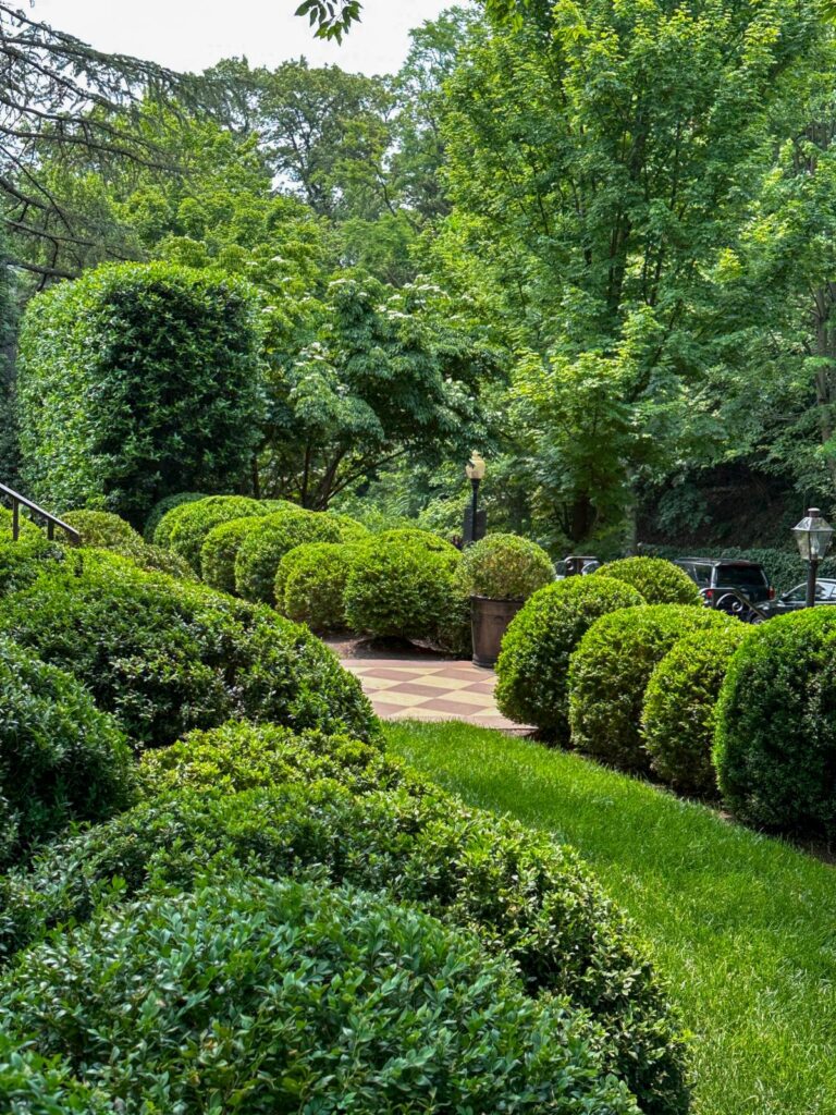 Gardens in award winning backyard.